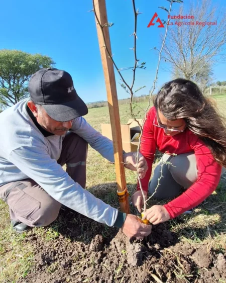 Día del Árbol: compromiso ambiental en cada sucursal